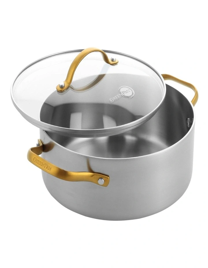Padova Reserve Casserole 24cm/4.91L PFAS-free in Silver image 3