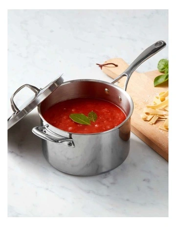 Eternita Clad Stainless Steel Induction Covered Saucepan 20cm/3.7L