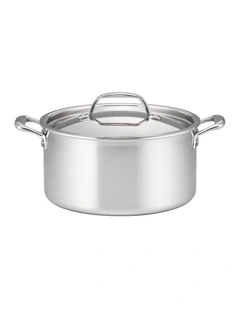 Eternita Stainless Steel Induction Covered Stockpot 24cm/5.6L in Silver