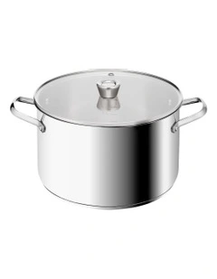 Space+ Emotion+ XL Induction Big Pot 9.6L in Silver