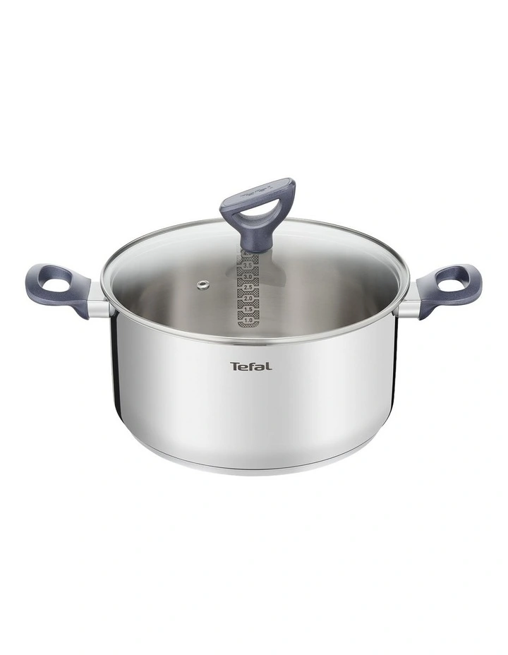Daily Cook Induction Stainless Steel Stewpot 24cm/5L Lid image 1