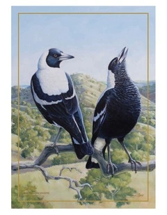 Birds of Australia Katherine Castle Tea Towel 50x70cm Magpie Print