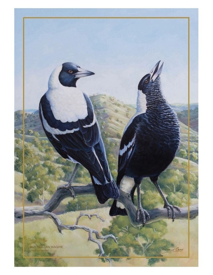 Birds of Australia Katherine Castle Tea Towel 50x70cm Magpie Print image 1