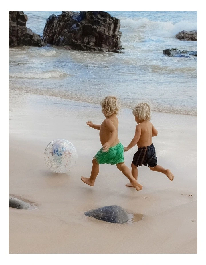 3D Inflatable Beach Ball Sammy the Seagull Blue Stripe image 6