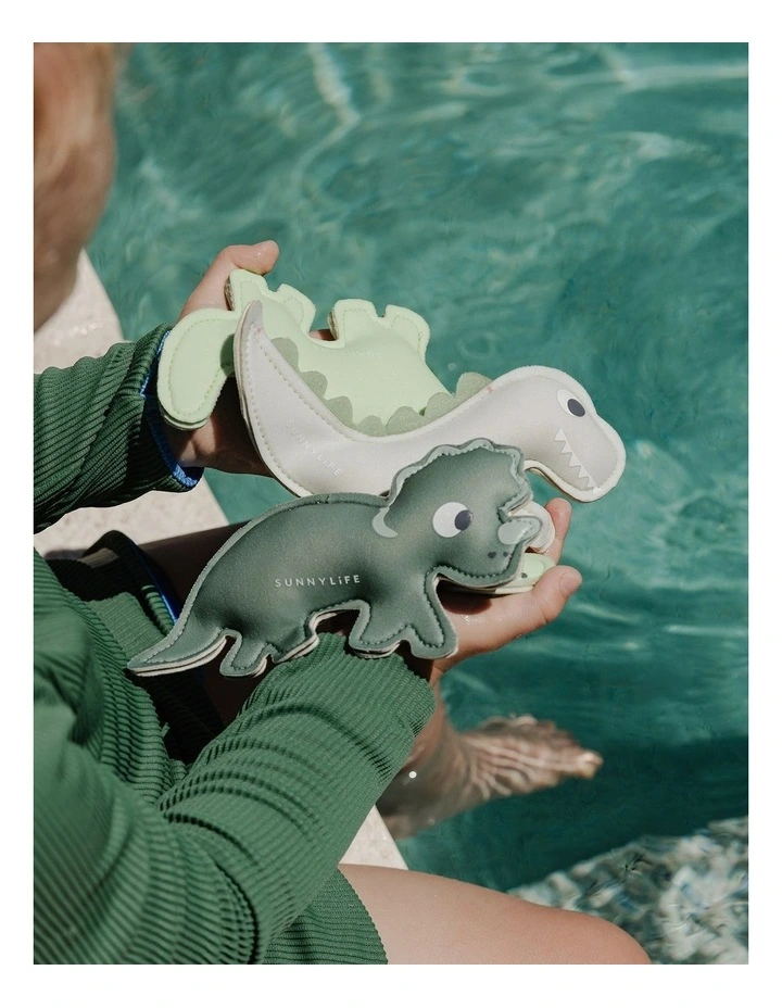 Dive Buddies Dino Multi Set of 3 image 2