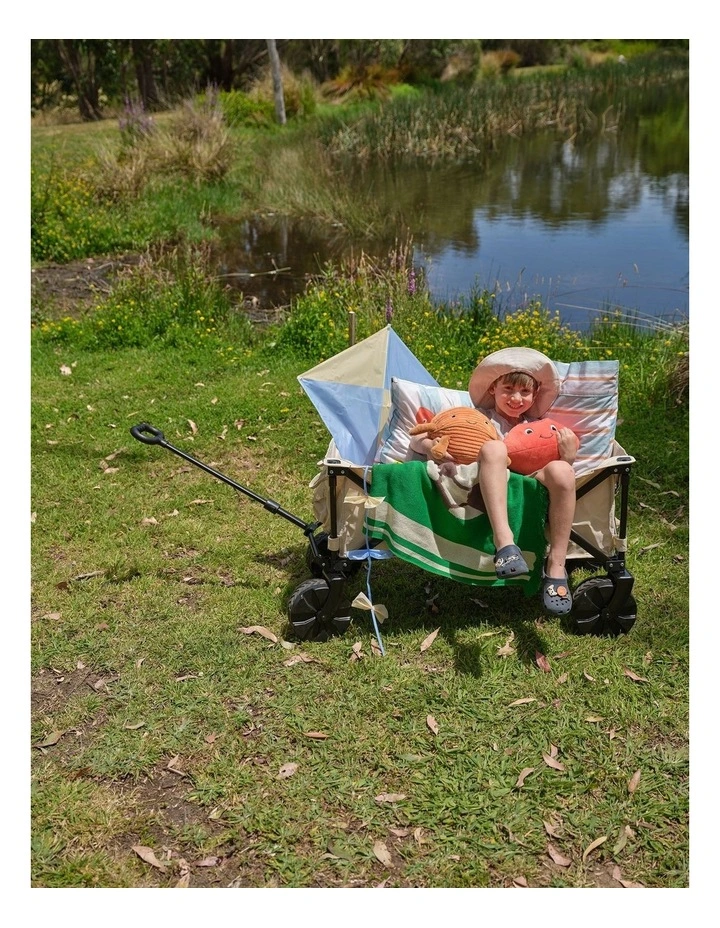 Benny Basketball Novelty Cushion in Orange image 3