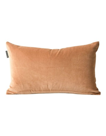 Hazelnut colour