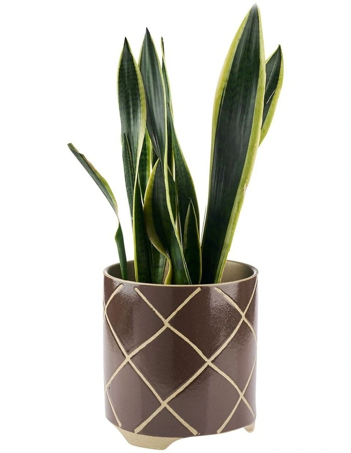 Estrada Planter Pot 24cm In Coffee image 2
