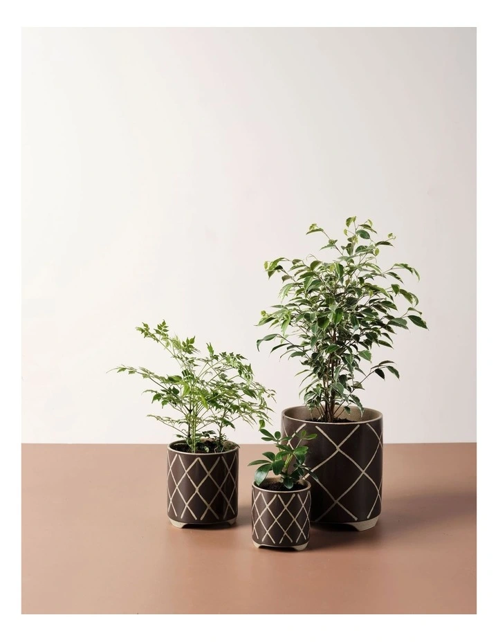 Estrada Planter Pot 24cm In Coffee image 3