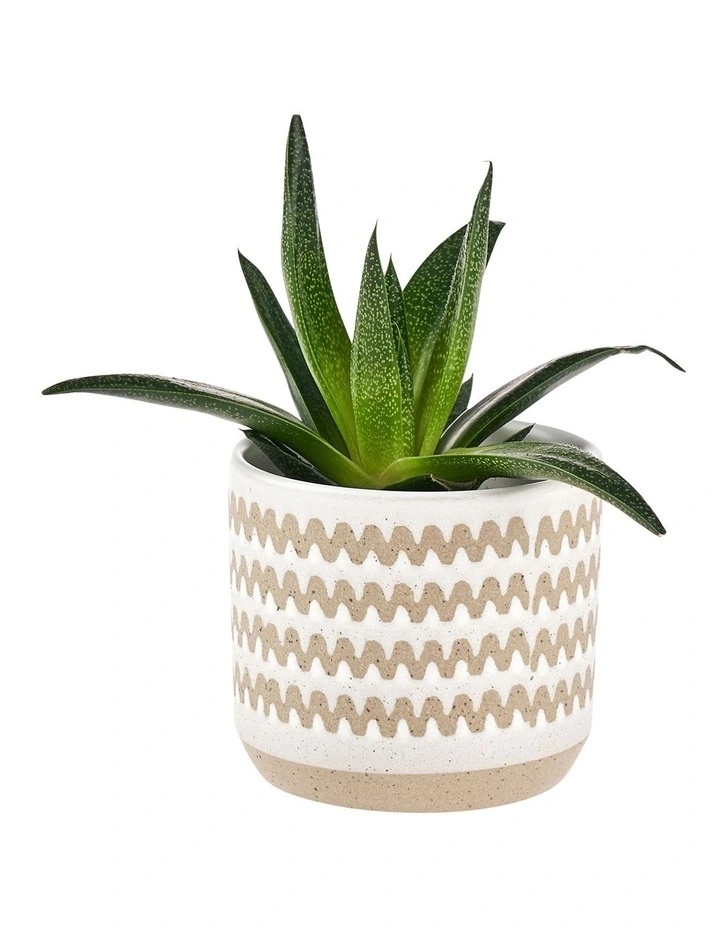 Dawn Planter Pot 11cm In White image 2