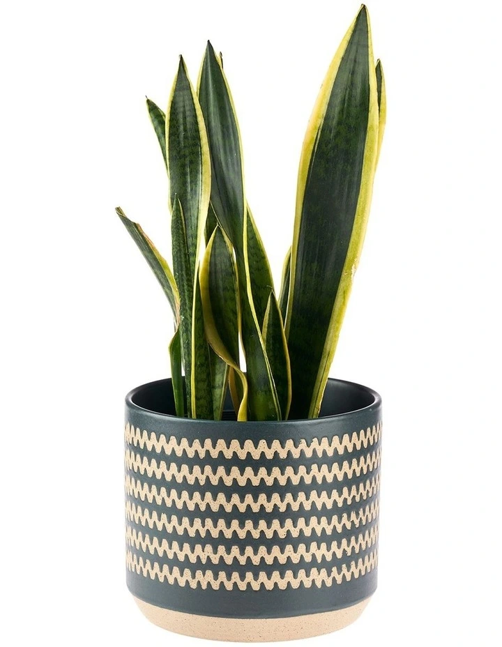 Dawn Planter Pot 25cm In Green image 2
