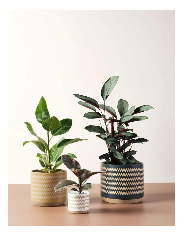 Dawn Planter Pot 25cm In Green image 3