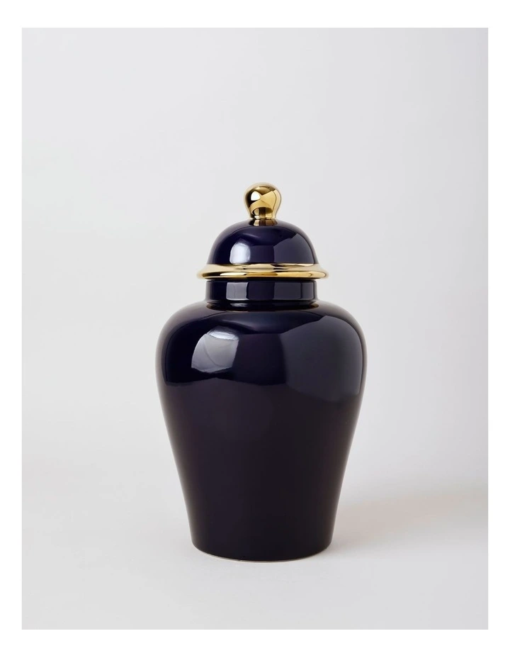 Plain Glass Ginger Jar 36cm in Blue image 1