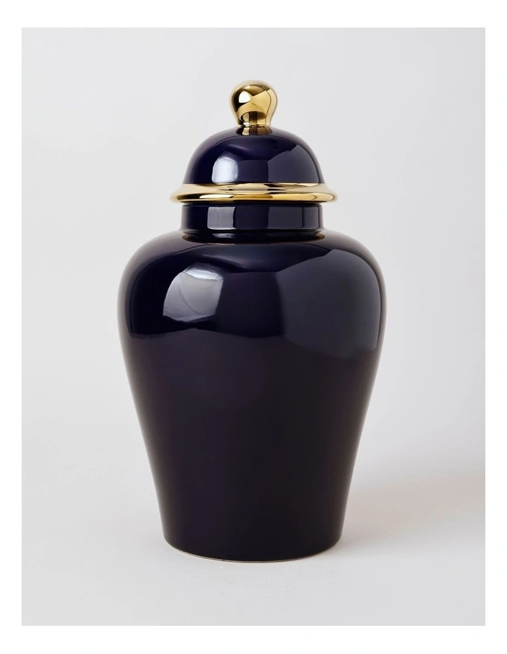 Plain Glass Ginger Jar 45cm in Blue image 1