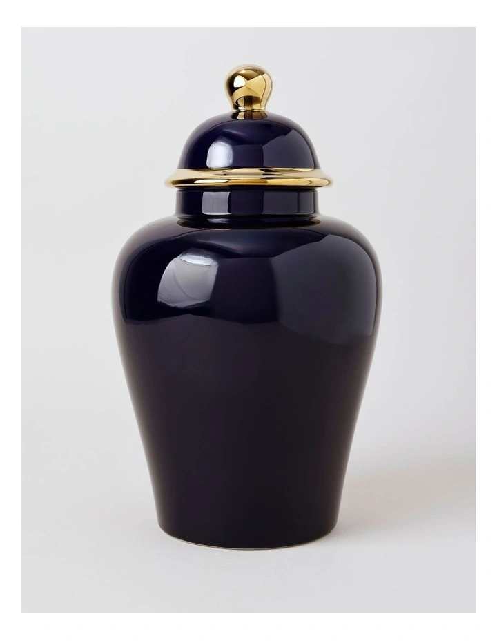 Plain Glass Ginger Jar 45cm in Blue image 1
