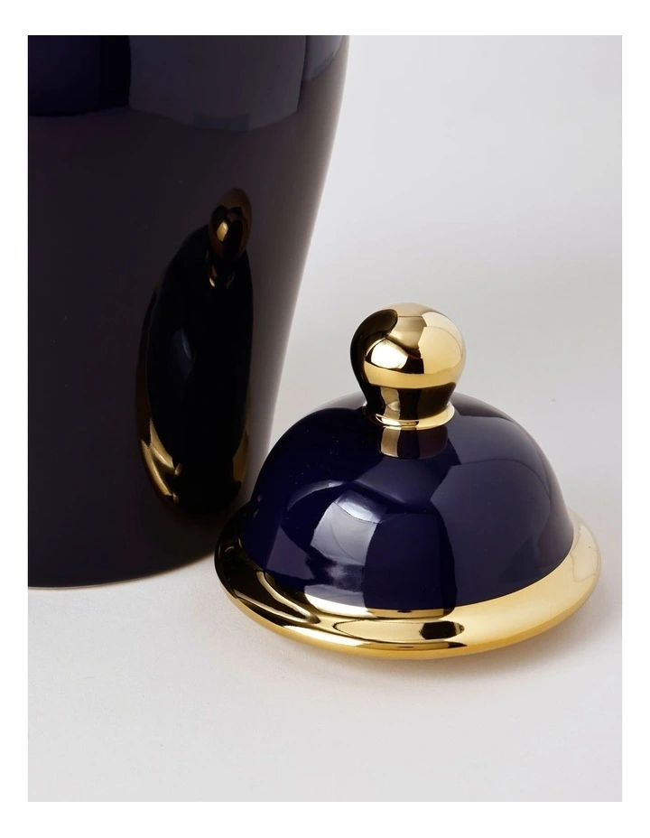 Plain Glass Ginger Jar 45cm in Blue image 2