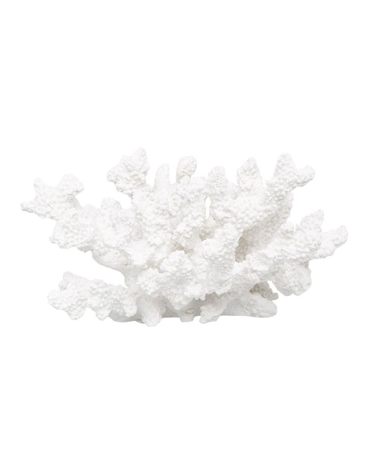 Australian House Garden Resin Staghorn Coral In White Myer