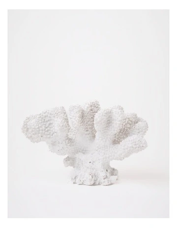 Atolle Coral Object 16x11cm in White