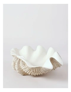 Atolle Shell 40cm in White