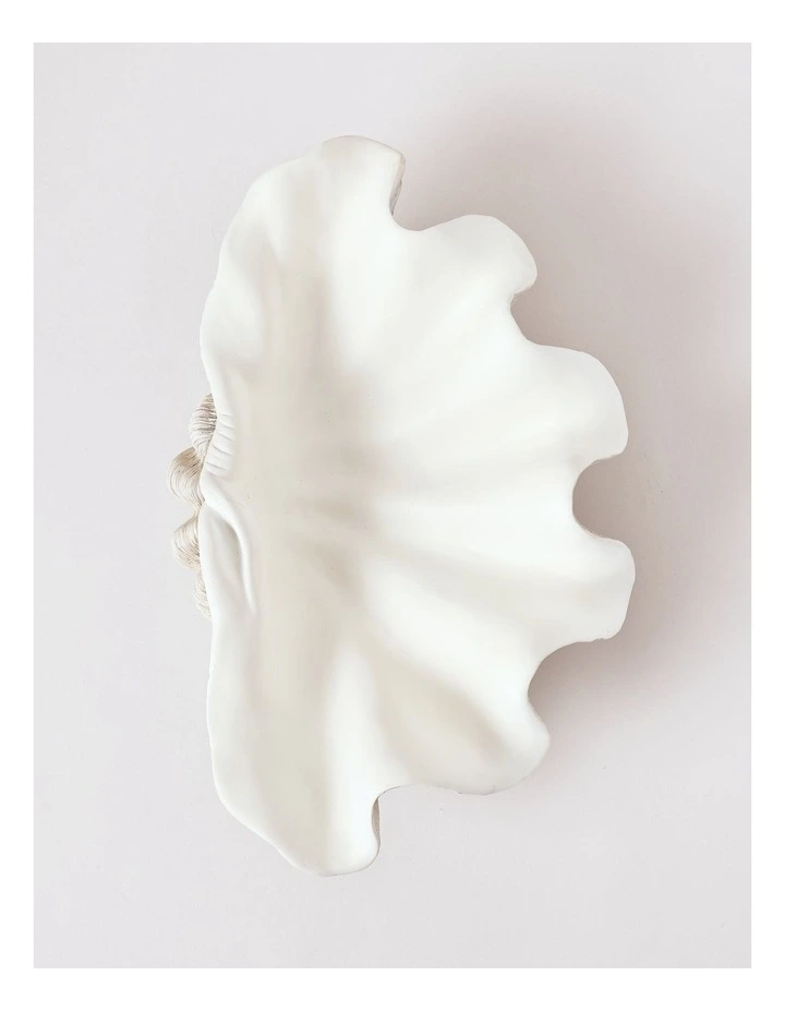 Atolle Shell 40cm in White image 3