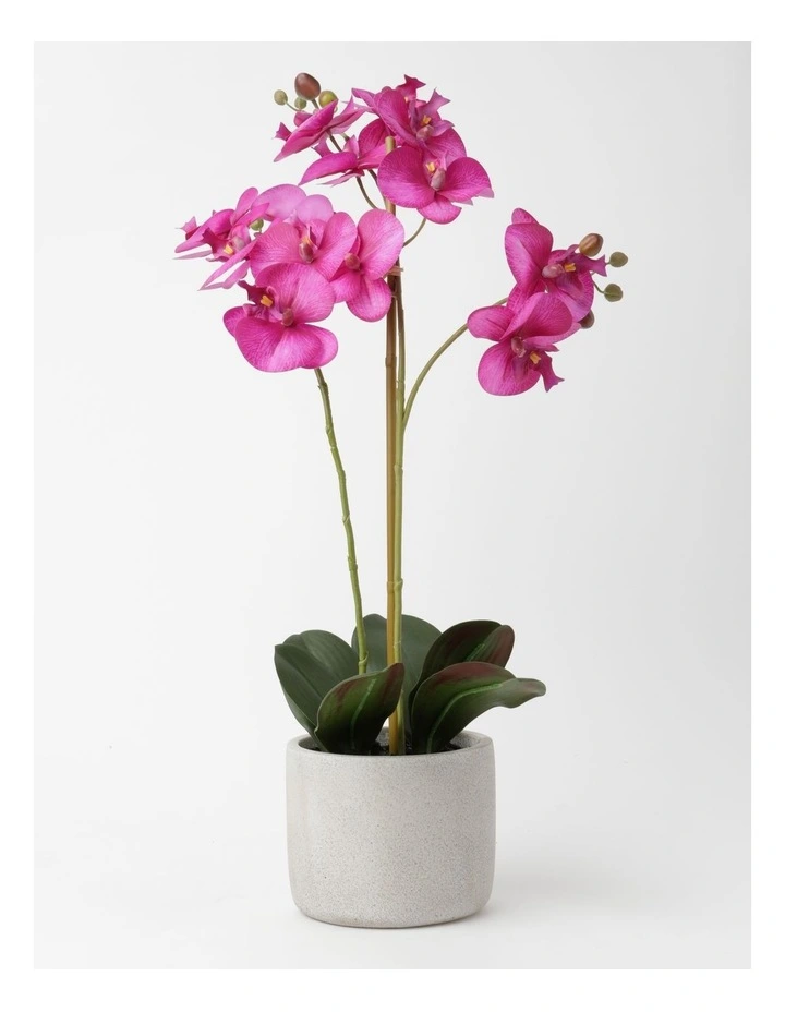 Real Touch Orchid 61cm Purple image 1