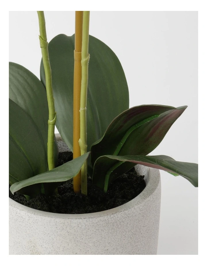 Real Touch Orchid 61cm Purple image 3