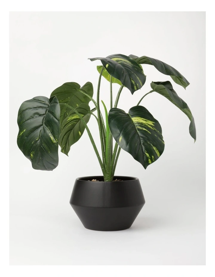 Helena Large Leaf Pot 57x53x53cm Black image 1