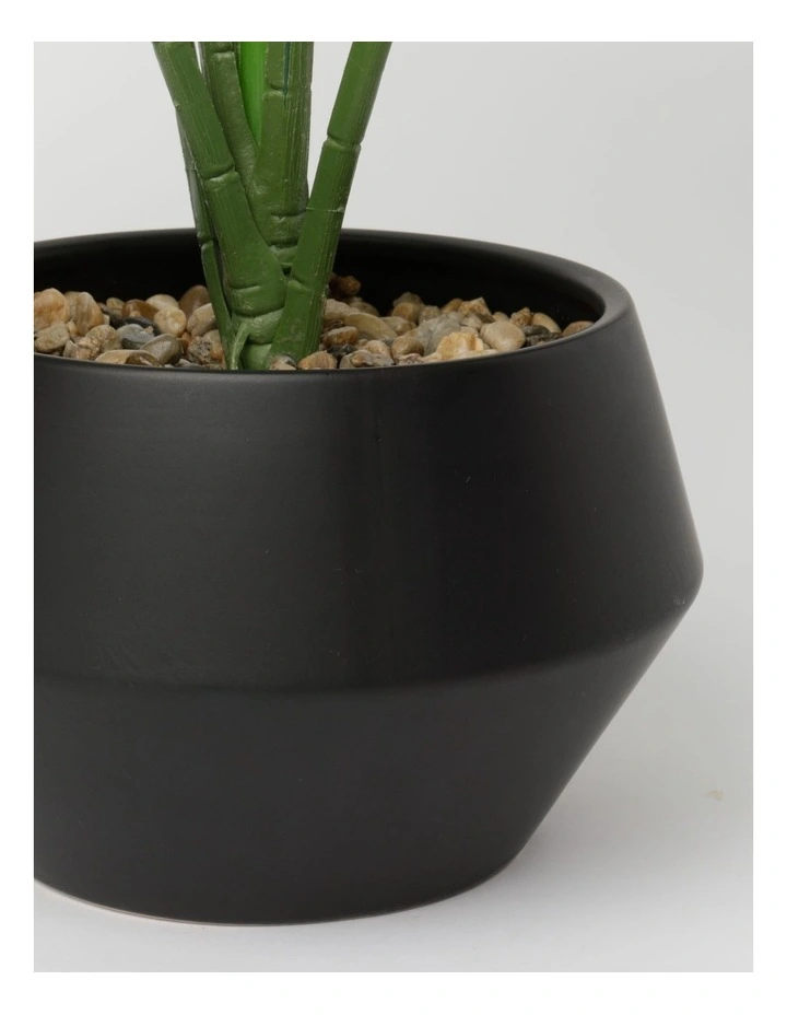 Helena Large Leaf Pot 57x53x53cm Black image 2