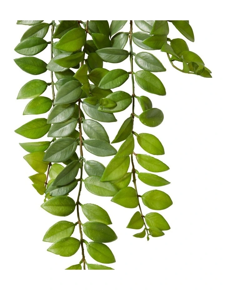 Honey Locust Hanging Plant-garden Pot in Green image 2