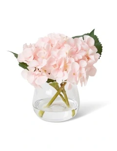 Hydrangea Alma Vase 20cm in Pink