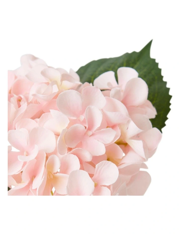 Hydrangea Alma Vase 20cm in Pink image 2
