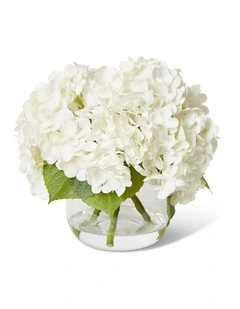 Hydrangea Classic White in White/Clear 2