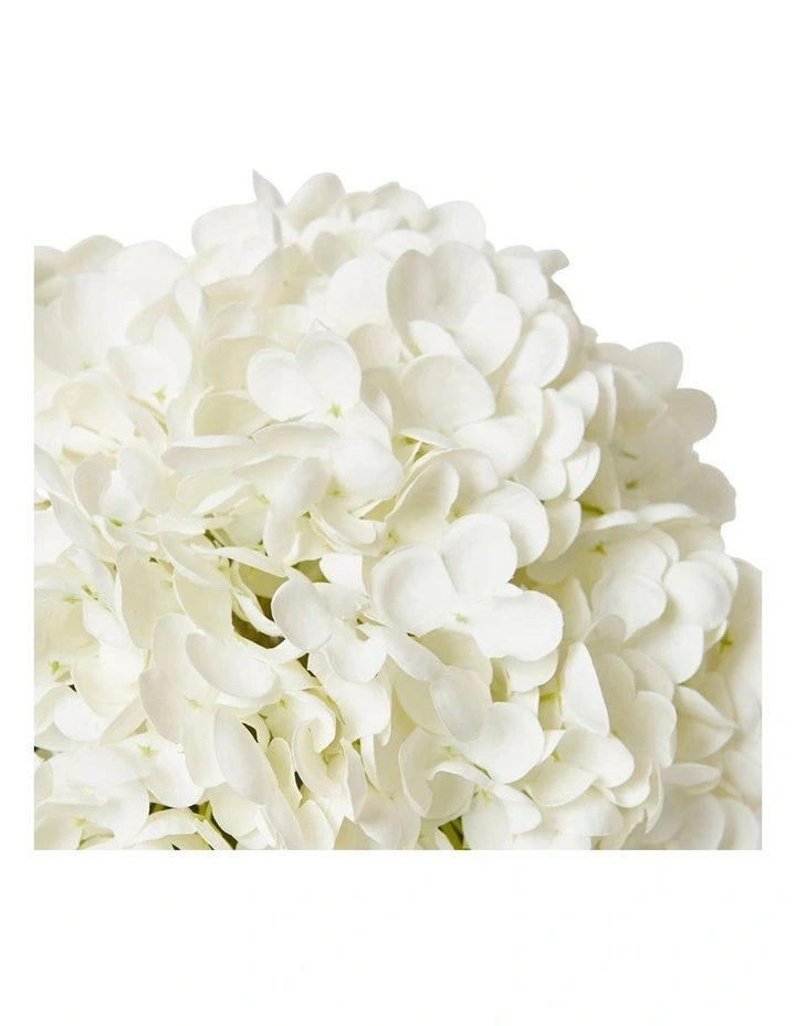 Hydrangea Classic White in White/Clear 2 image 2