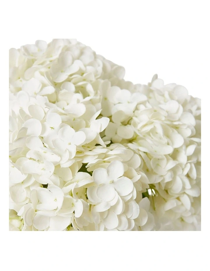 Hydrangea Classic in White/Clear 34cm image 2