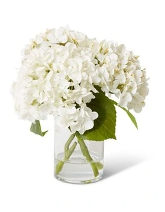 Hydrangea Mix White Small White/Clear 29