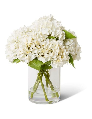 White/Clear colour