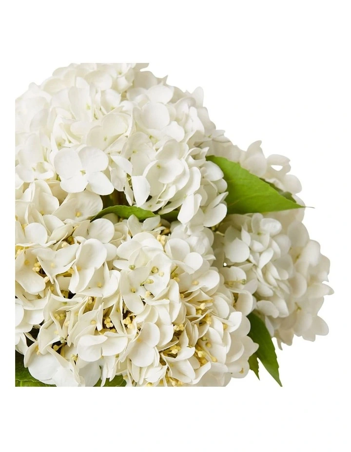 Hydrangea Mix in White/Clear 39cm image 2