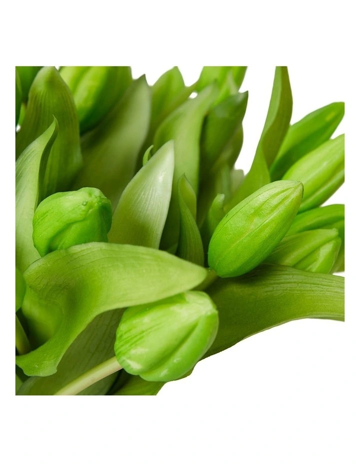 Tulip Bud in Green/Clear 29cm image 2