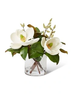 Magnolia Classic in White 40cm