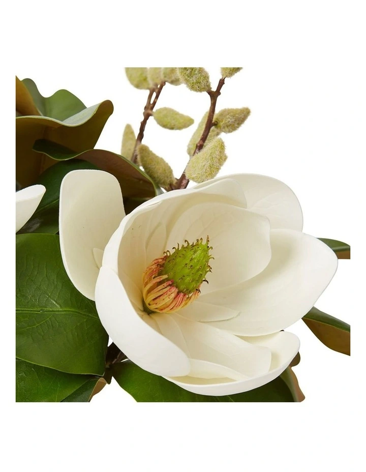 Magnolia Classic in White 40cm image 2