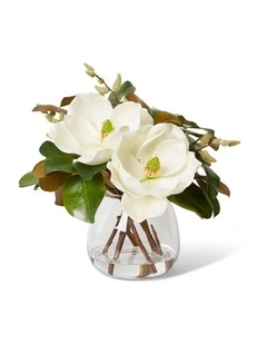 Magnolia Garden 46cm