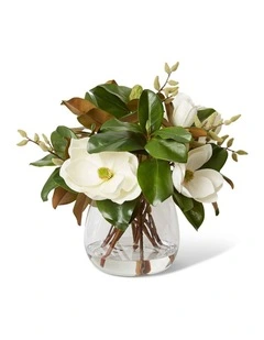 Magnolia Classic in White 48cm