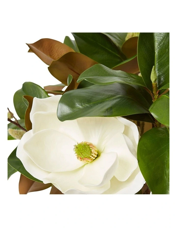 Magnolia Classic in White 48cm image 2