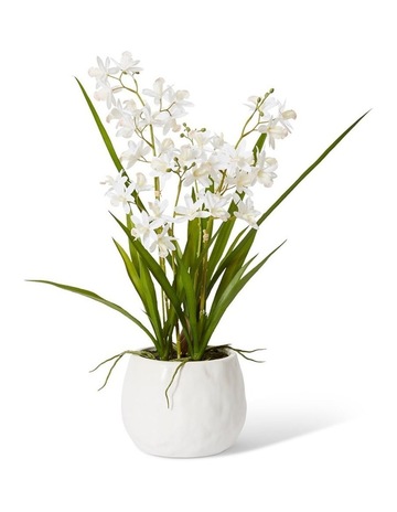 White/White colour