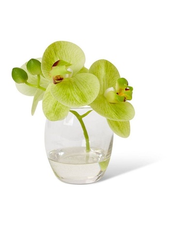 Green/Clear colour