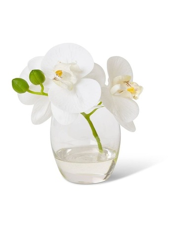 White/Clear colour