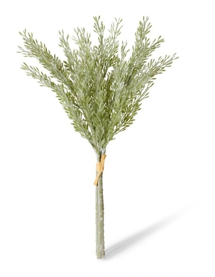 Dusty Miller Bundle in Sage 40cm image 2