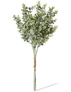 Eucmalyptus Bundle in Grey Green 64cm