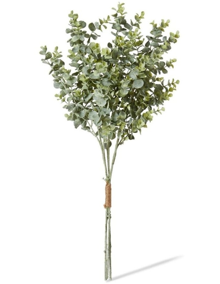 Eucmalyptus Bundle in Grey Green 64cm image 1