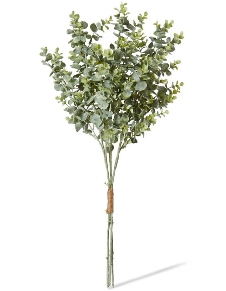 Eucmalyptus Bundle in Grey Green 64cm image 2